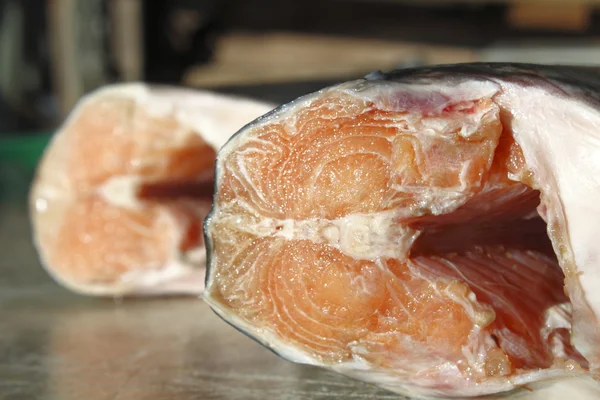 Angle bas du corps du saumon — Photo