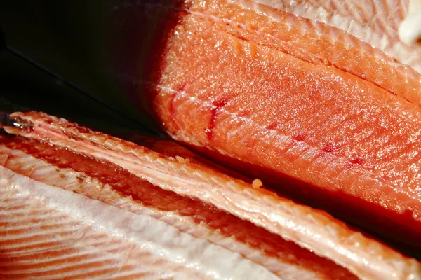 コーホー サーモンの明るいピンクの肉 — ストック写真