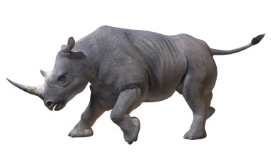 Rhinoceros clipart