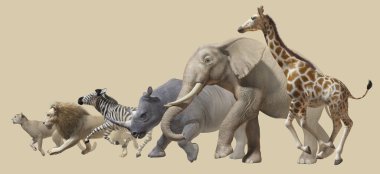 African animals clipart