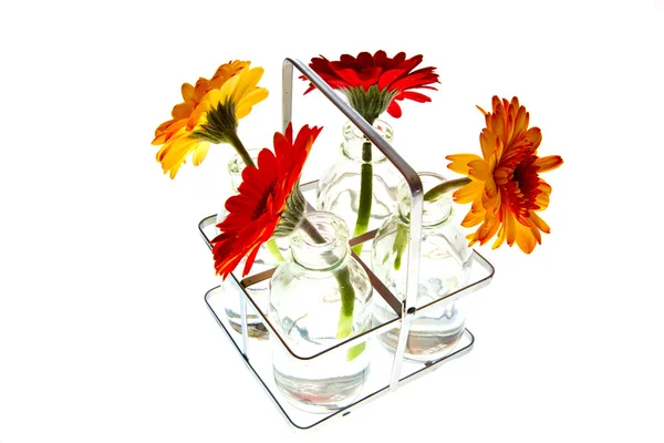 Tray with springflowers — Stock Photo, Image