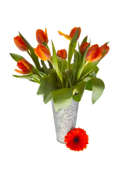 Springflowers in vase — Stock Photo, Image