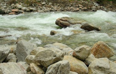 Avusturya Alpleri'nde Nehri