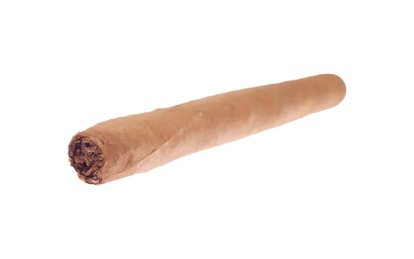 Сигара на белом — стоковое фото