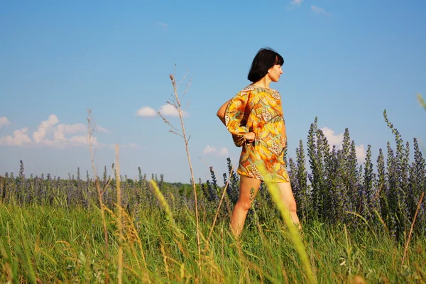 stock image Woman on the flower field