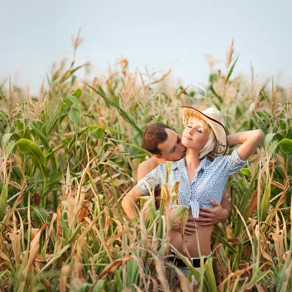 Ternura em um campo de milho — Fotografia de Stock