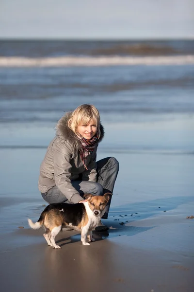 stock image Girl with dog