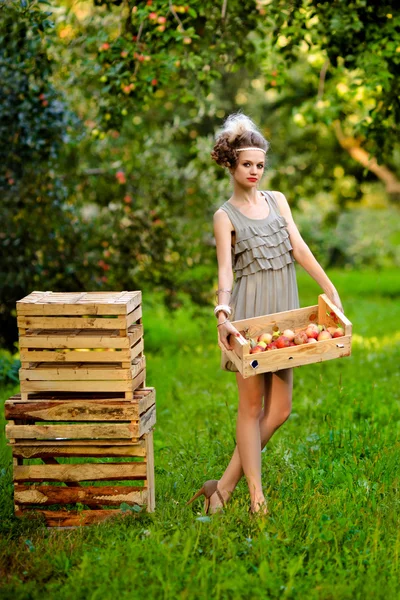 Молодая женщина собирает яблоки с яблони — стоковое фото