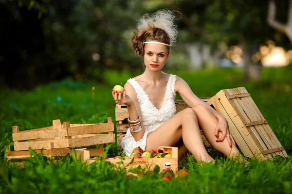 Genç kadın bir elma ağacı elma toplama — Stok fotoğraf