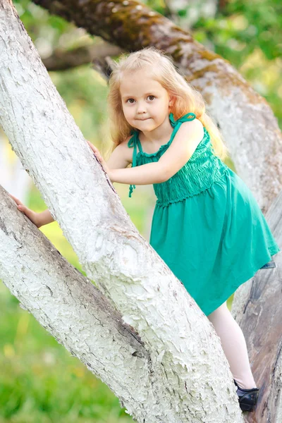 庭を歩く美しい少女の肖像画小女孩爬上苹果树 — 图库照片