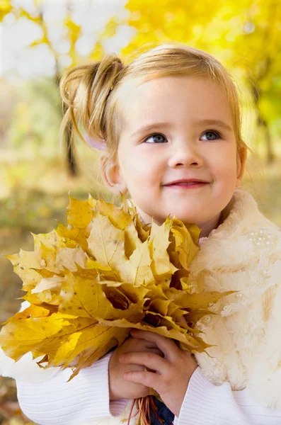 Φθινοπωρινό πορτρέτο του χαριτωμένου μικρού καυκάσιου κοριτσιού — Φωτογραφία Αρχείου