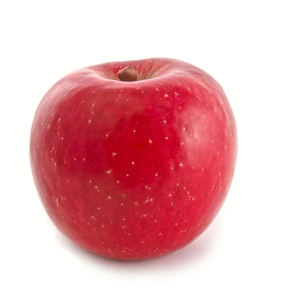 Moget rött äpple isolerad på vit — Stockfoto