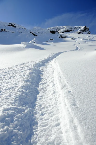 Trilhas de snowboard de esqui em neve de pó branco puro — Fotografia de Stock