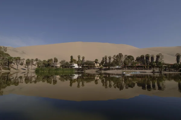 Mirrored reflection of sand dunes in oasis lake — Stock Photo, Image