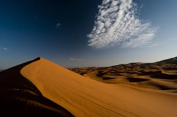 Оранжевые дюны пустыни в утреннем свете — стоковое фото