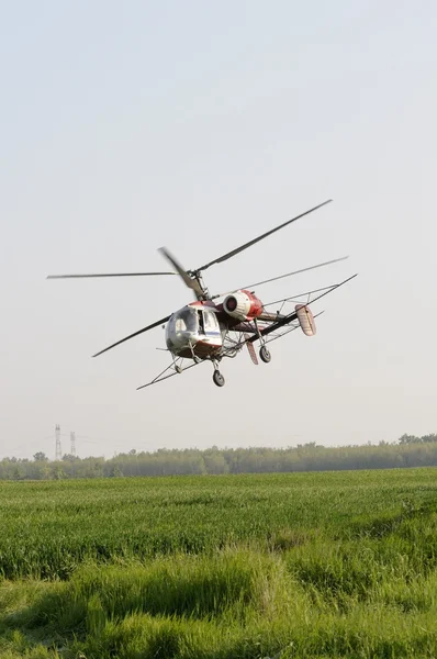 stock image Helicopter flying over green crops field