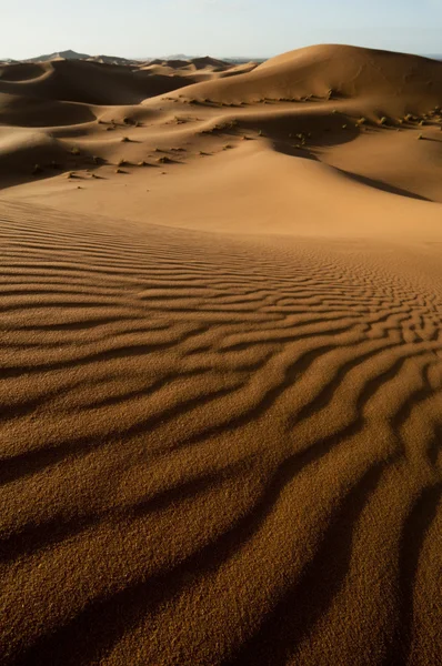 Dunas de areia ondulantes no deserto do Saara — Fotografia de Stock