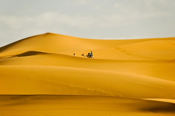 Tourist riding camel along sand dunes — Stok fotoğraf