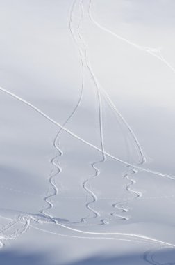birden çok dolambaçlı Kayak taze toz karda izler