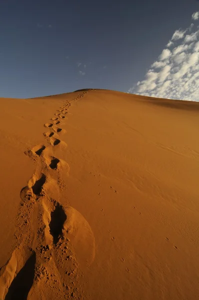 Fotspår av en person i öken sand dune — Stockfoto