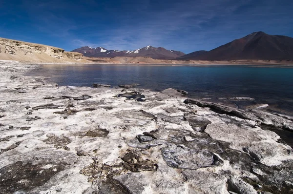 Salzige weiße Kruste am Ufer des Bergsees — Stockfoto