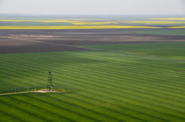 Aerial view of single oil well in green crops field — Stock Photo, Image