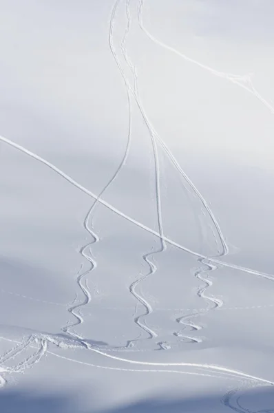 Multiple winding ski tracks on fresh powder snow