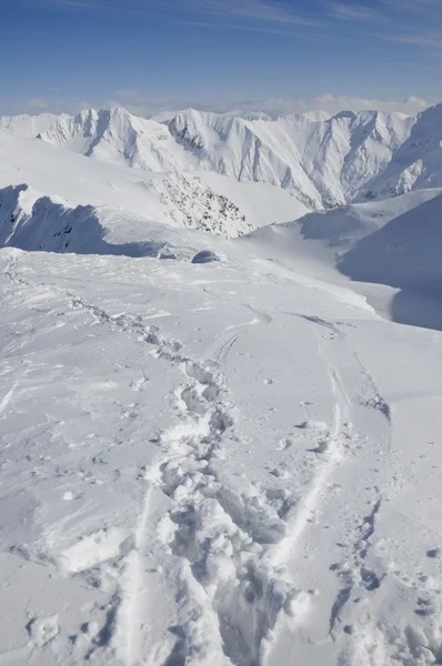 Следы и лыжные и сноубордические трассы в альпийском зимнем пейзаже — стоковое фото