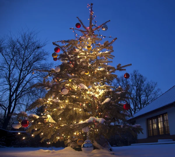 ev dışında ile Noel ağacı