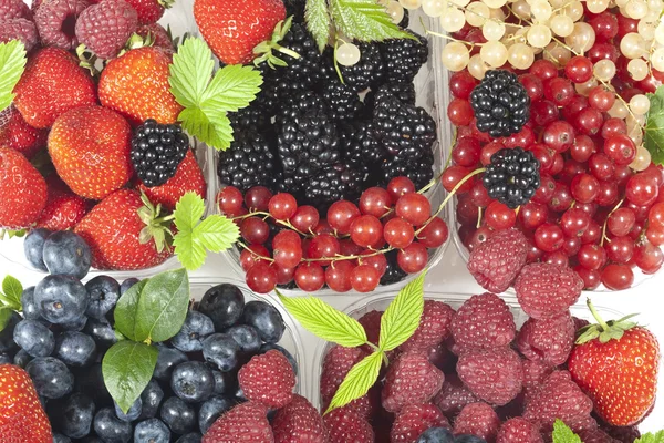 Смесь фруктов и ягод — стоковое фото