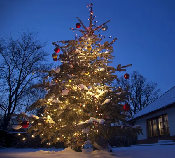 Kerstboom met huis buiten Stockafbeelding