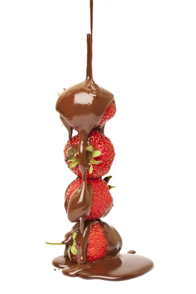 Chocolade aardbeien spiesjes geïsoleerd op wit Stockfoto