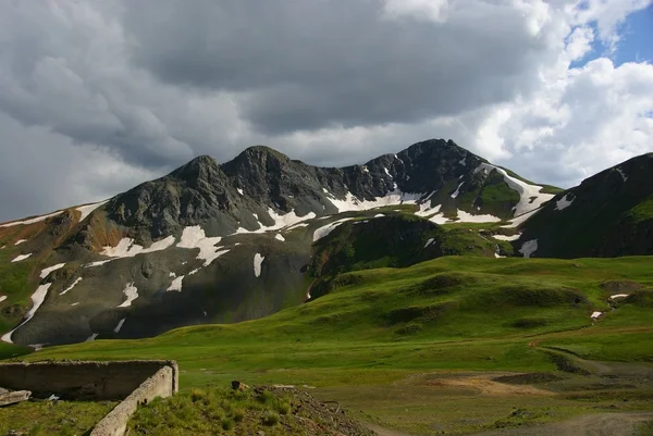 Tundra alpina Imagen de archivo