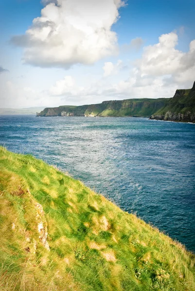 Sunny hrázi pobřeží, Severní Irsko — Stock fotografie