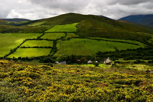 Dingle Halbinsel, Irland — Stockfoto