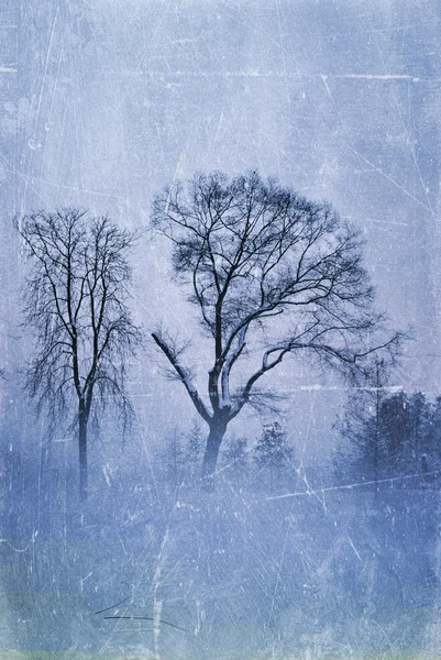 stock image Vintage grungy winter trees