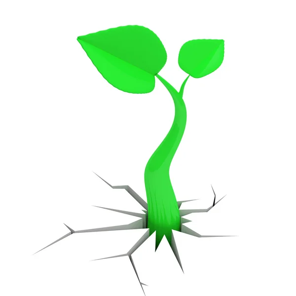 New life. Baby plant — Stock Photo, Image