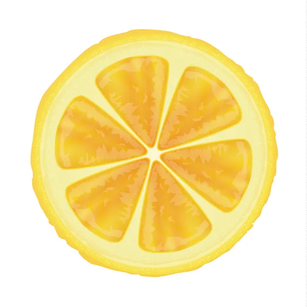 Lemon slice vector — Stock Vector