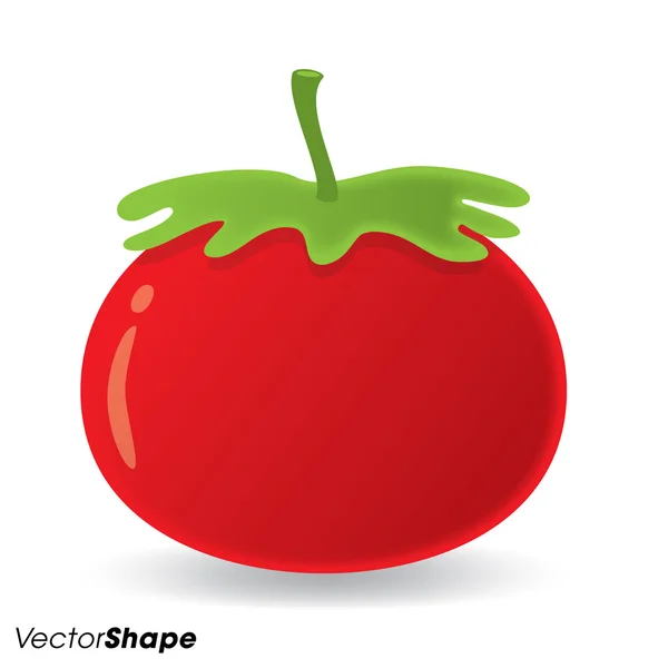 Healthy organic realistic red tomato — Stock Vector