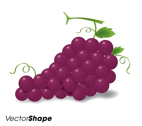 Realistische rode druiven — Stockvector