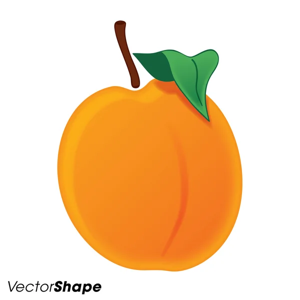 Pêssego suculento laranja realista — Vetor de Stock