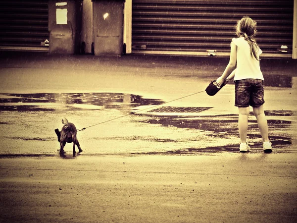 Child tugging on the dog's leash on a rainy day — Stock Photo, Image