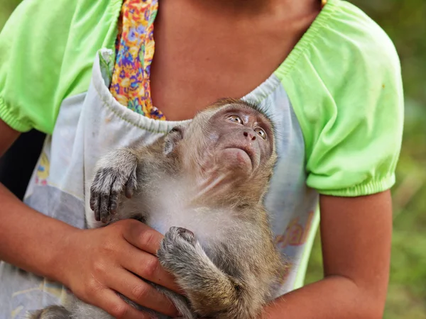 Girl holding baby monkey — Stock Photo, Image