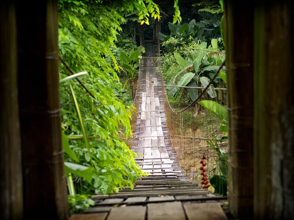 Wooden suspension bridge — Stock Photo, Image