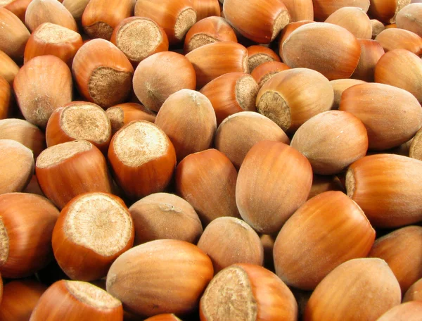 Wood Nuts — Stock Photo, Image