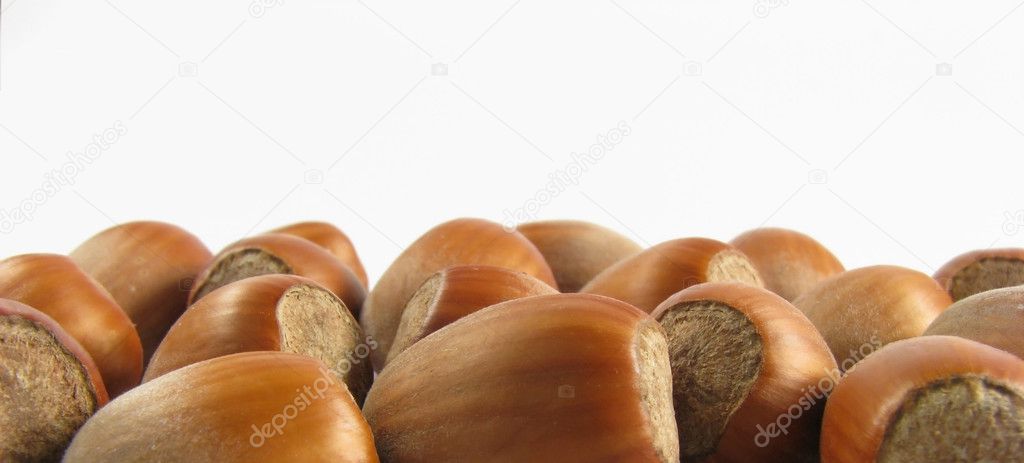 Wood nuts