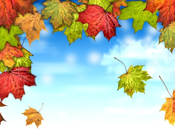 Autumn leaves with the blue sky background — Stock Photo, Image