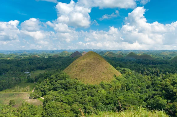 Chocolade heuvels, Filippijnen — Stockfoto