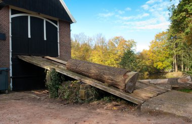 Hollanda singraven kereste fabrikası