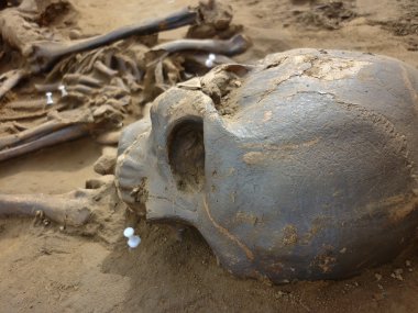 Eski insanlar sel zo kazıları sırasında bulunan iskelet